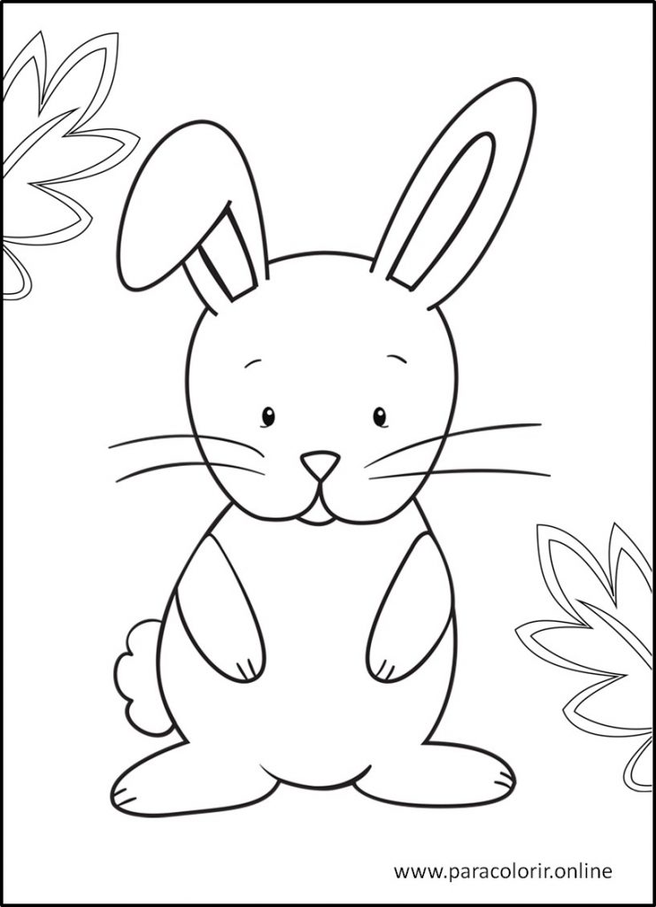 Desenhos De Animais Da Floresta Para Colorir Para Colorir