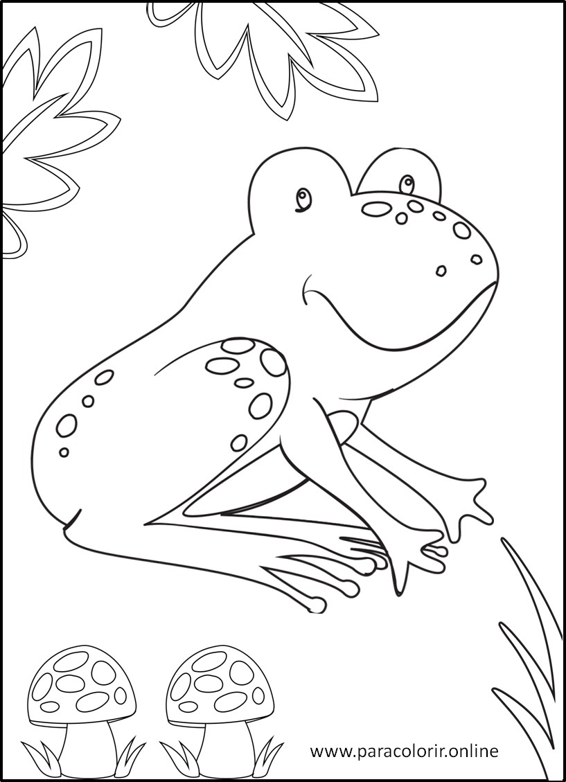 Desenhos De Animais Da Floresta Para Colorir Para Colorir