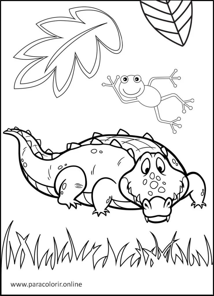 Cobra para Colorir 2  Snake coloring pages, Frog coloring pages, Animal  coloring pages